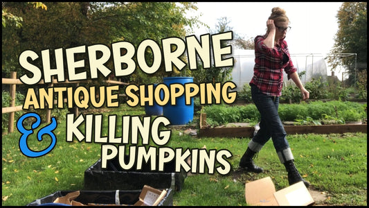 Antique Shopping Sherborne – Killin' Pumpkins
