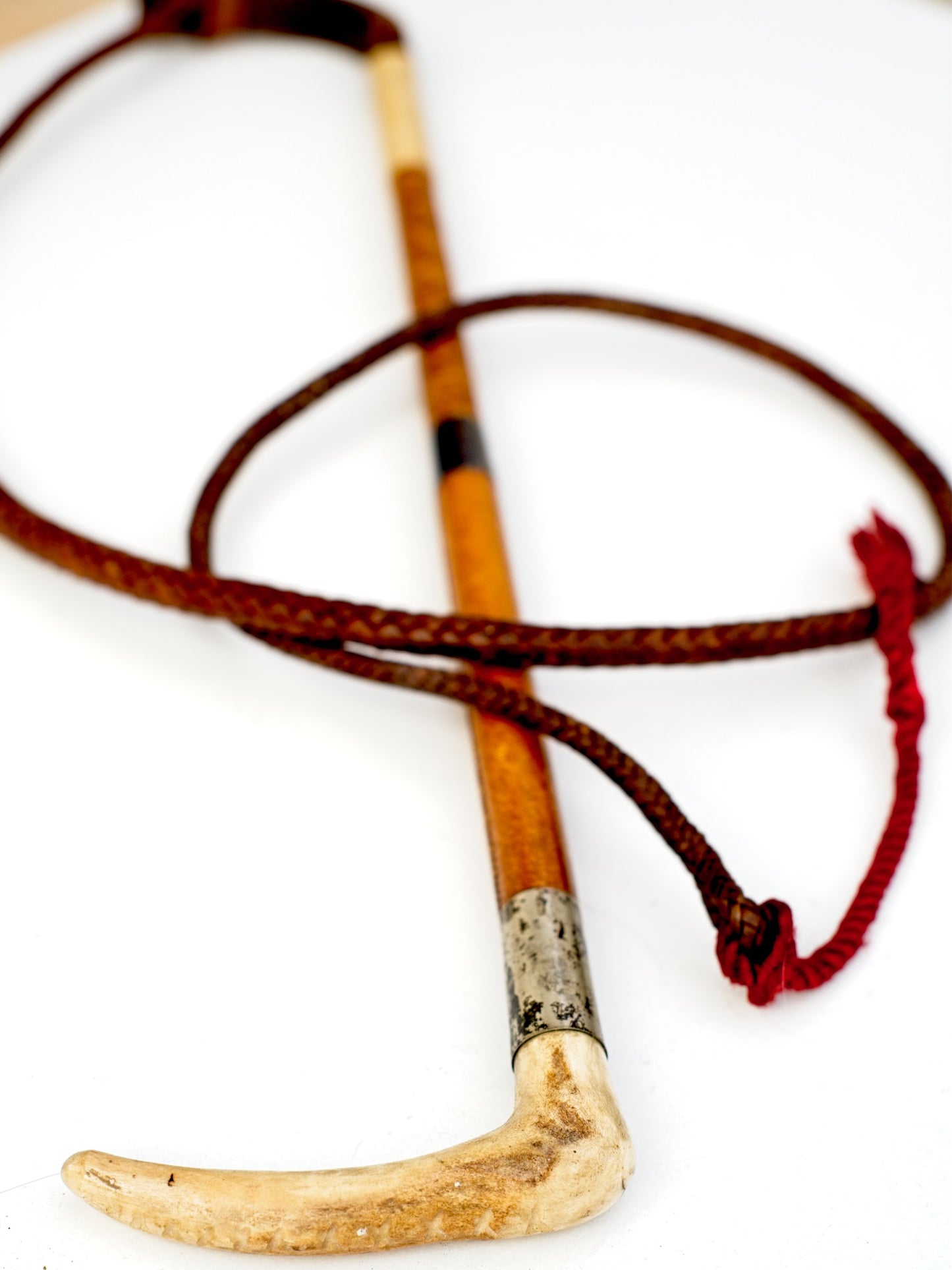 Antique Hunting Crop with Leather Whip and Lash • Stag Horn Handle