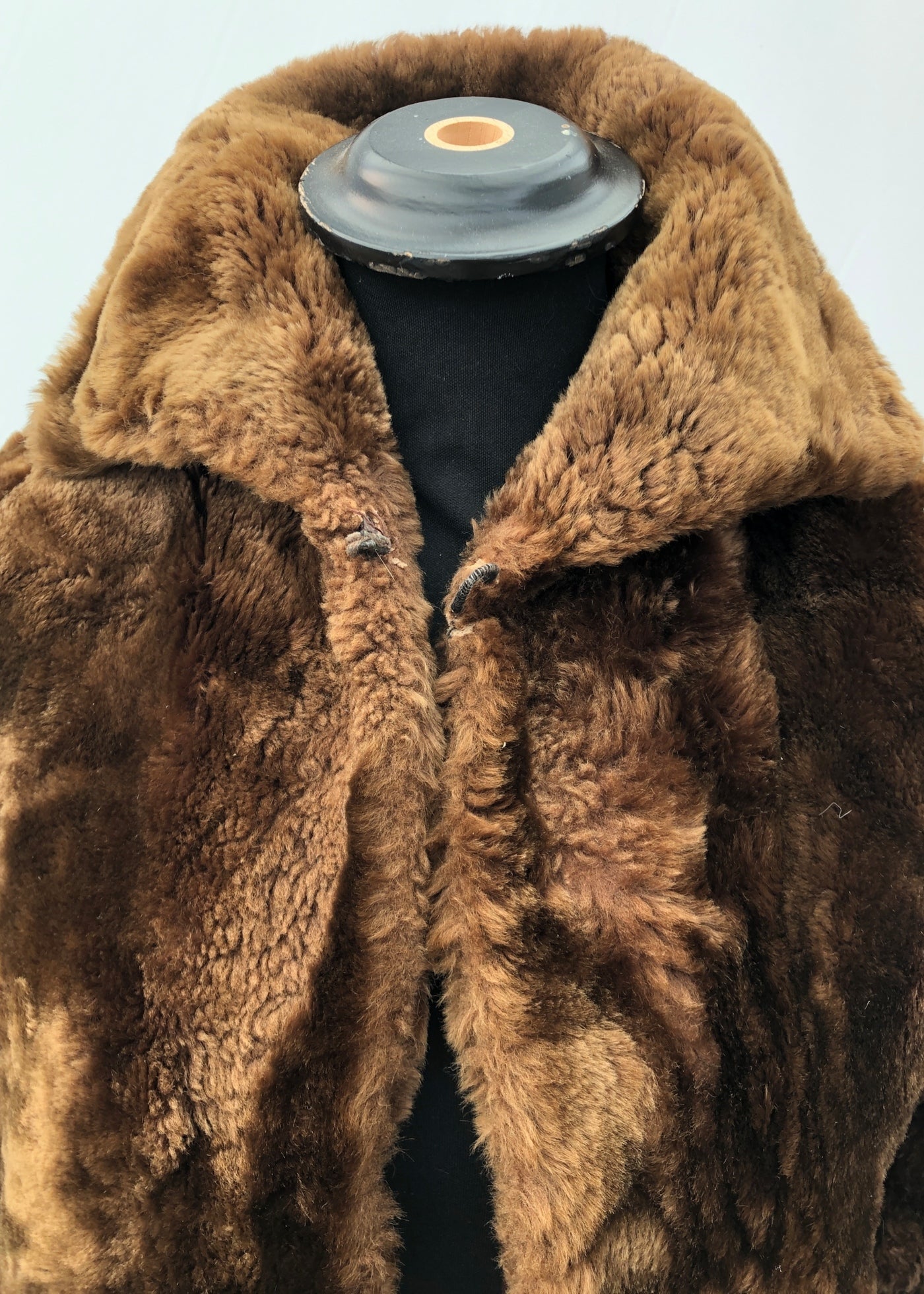 Vintage 50s Mouton Teddy Bear Winter Swing Coat • Beaver Lamb Sheepskin