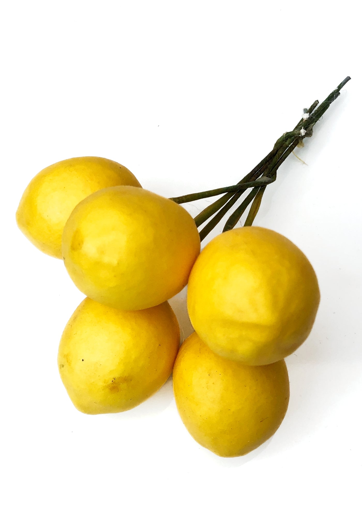 Vintage Millinery Fruit Lemon Stems