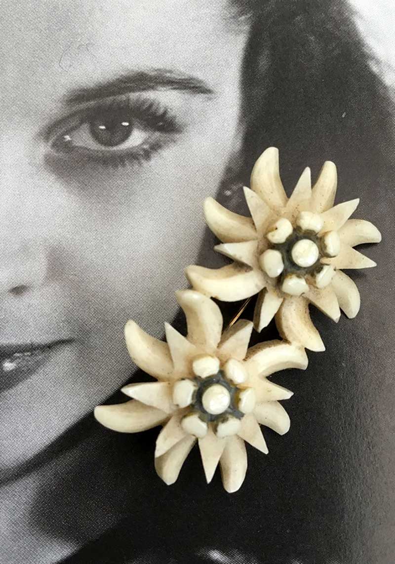 vintage collectible 1930s double eidelweiss flower carved bone souvenir brooch