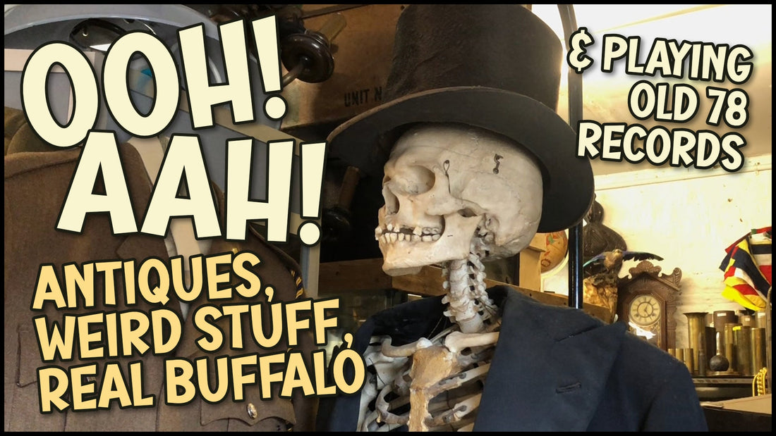 Weird & Spooky Curios, Antiques, Cute Buffalos & Old 78s