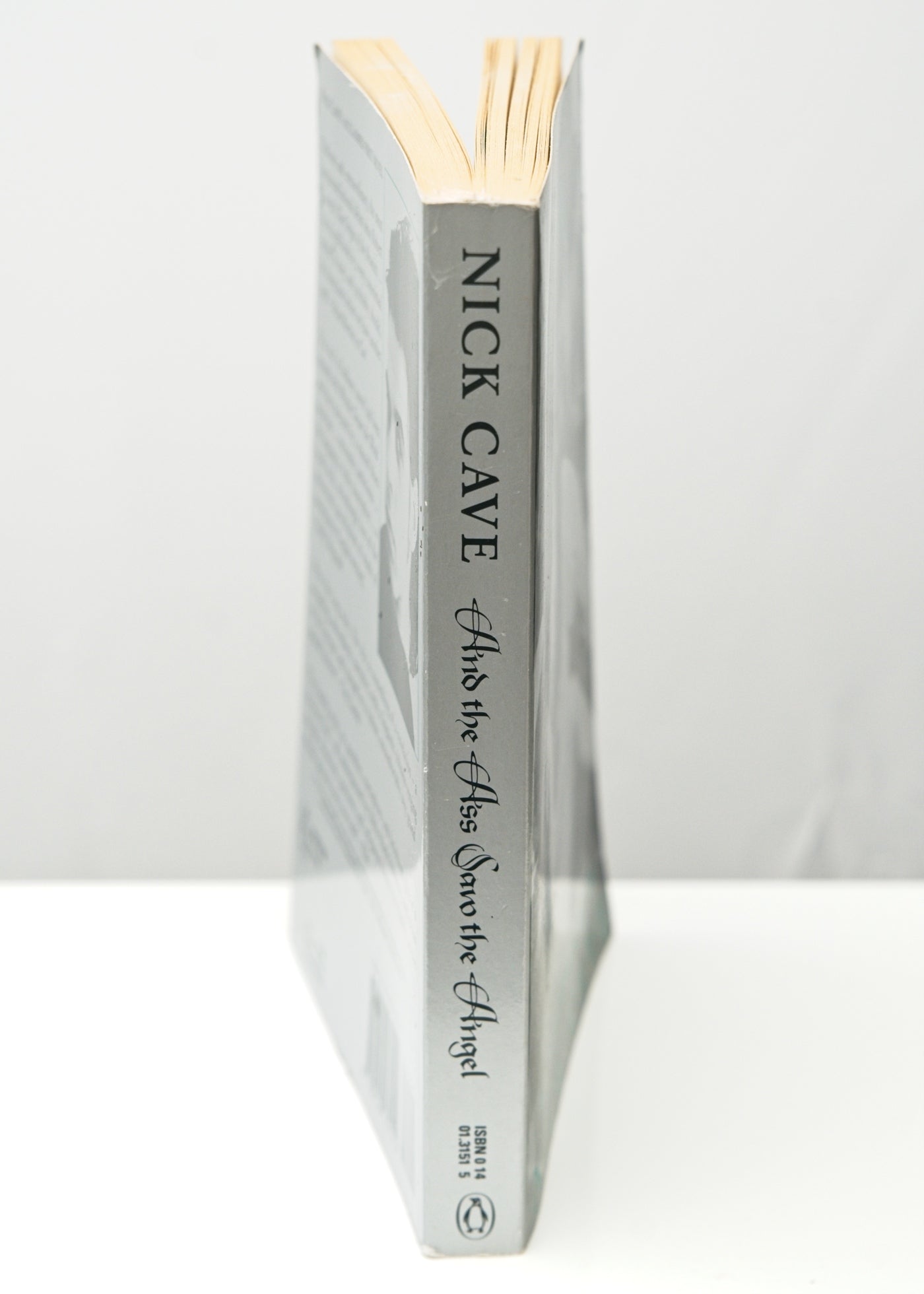 And the Ass Saw the Angel by Nick Cave • Penguin Paperback 1990