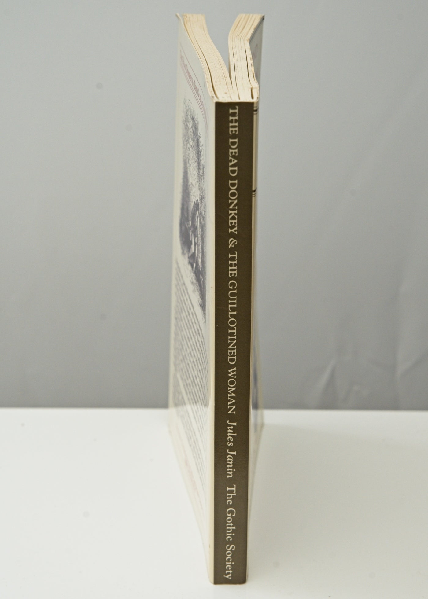 The Dead Donkey & The Guillotined Woman • Jules Janin • Illustrated 1993
