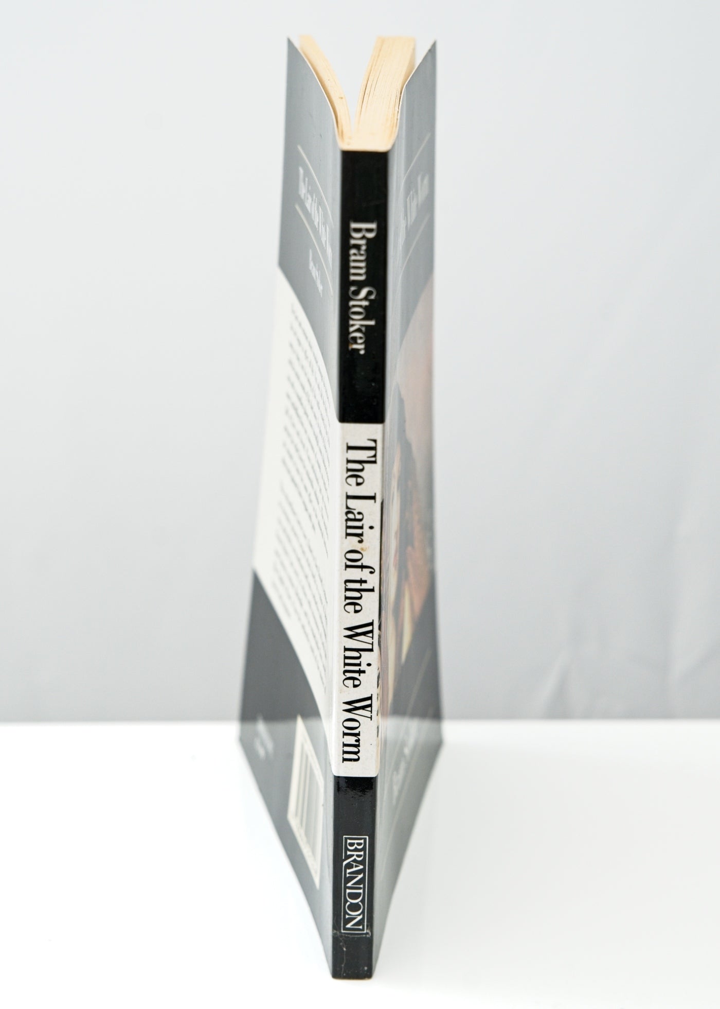 Three Bram Stoker Books • Dracula's Guest, The Lair of The White Worm, The Snake's Pass