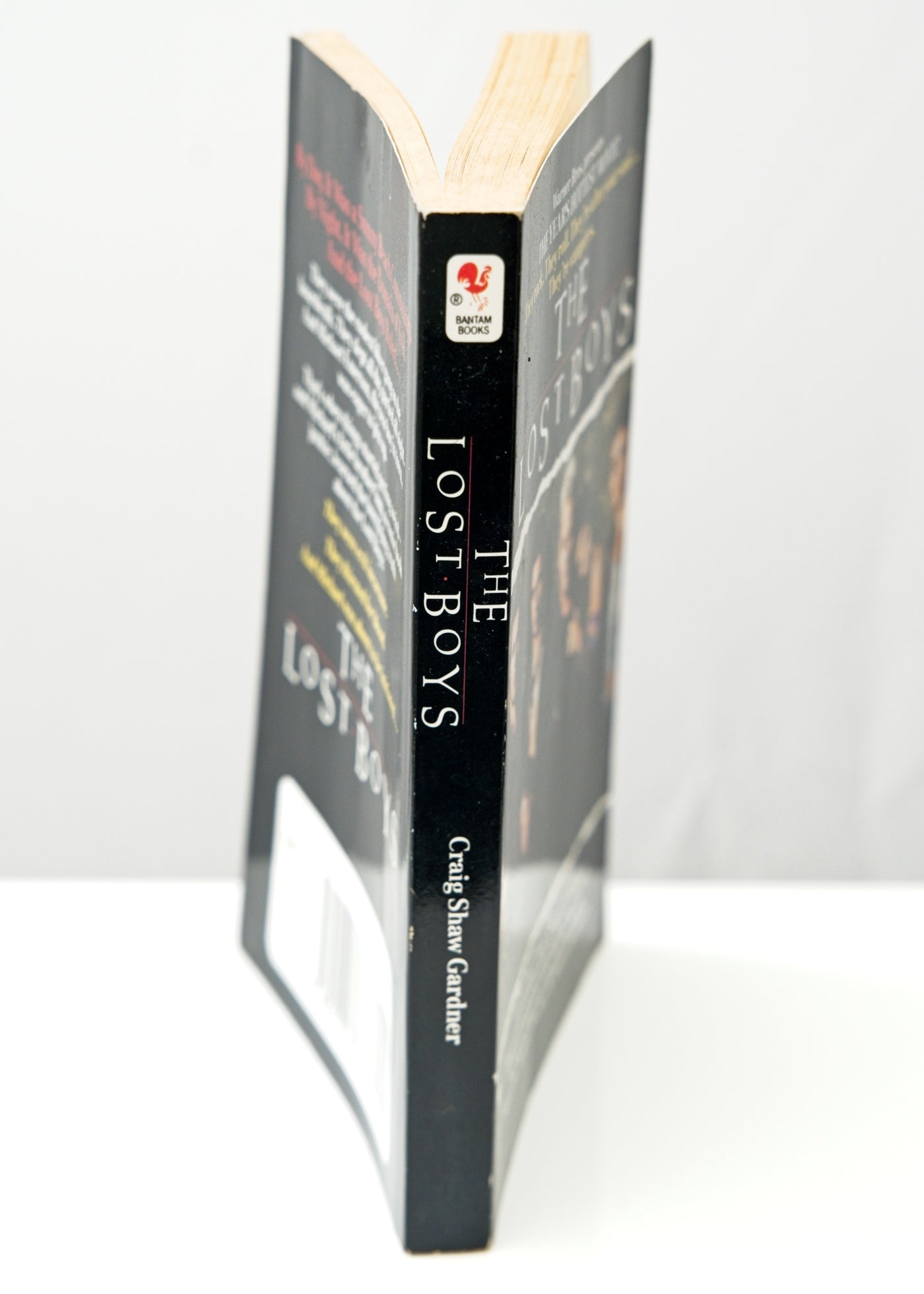 The Lost Boys by Craig Shaw Gardner • Bantam Book • Paperback 1988