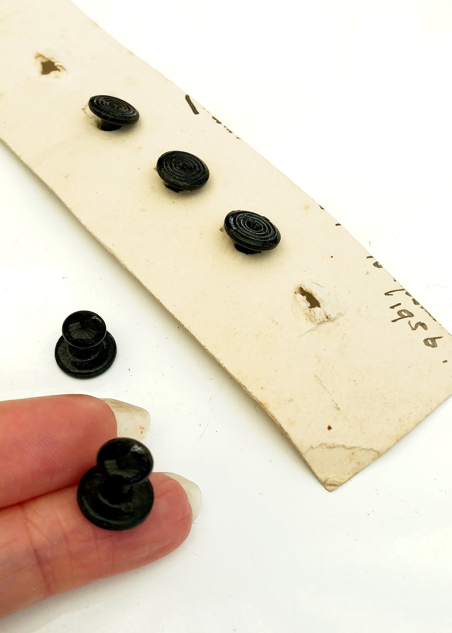 Vintage 30s/40s Decorative Black Celluloid Shirt Studs • 5 Black Tie Studs
