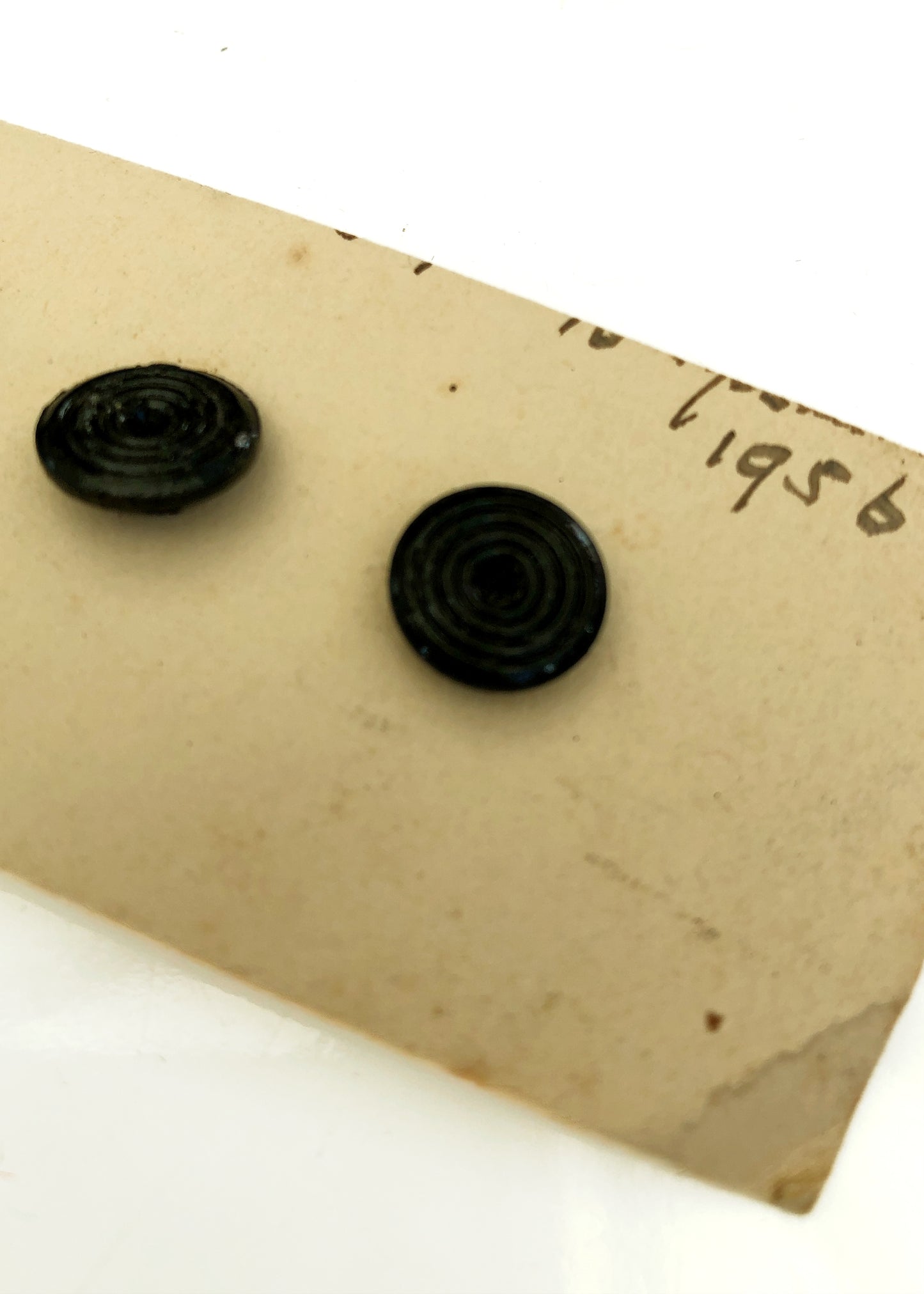 Vintage 30s/40s Decorative Black Celluloid Shirt Studs • 5 Black Tie Studs