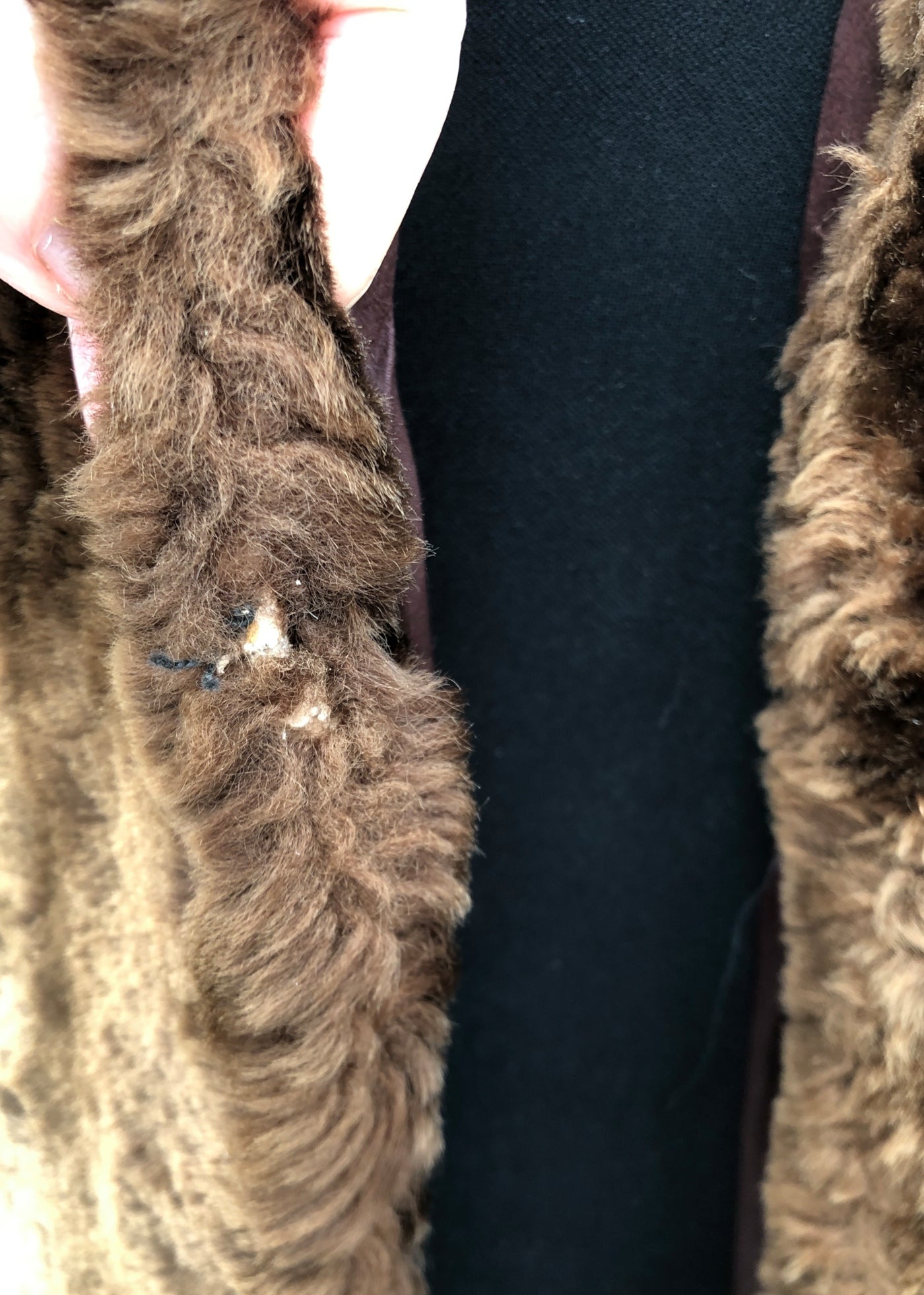 Vintage 50s Mouton Teddy Bear Winter Swing Coat • Beaver Lamb Sheepskin