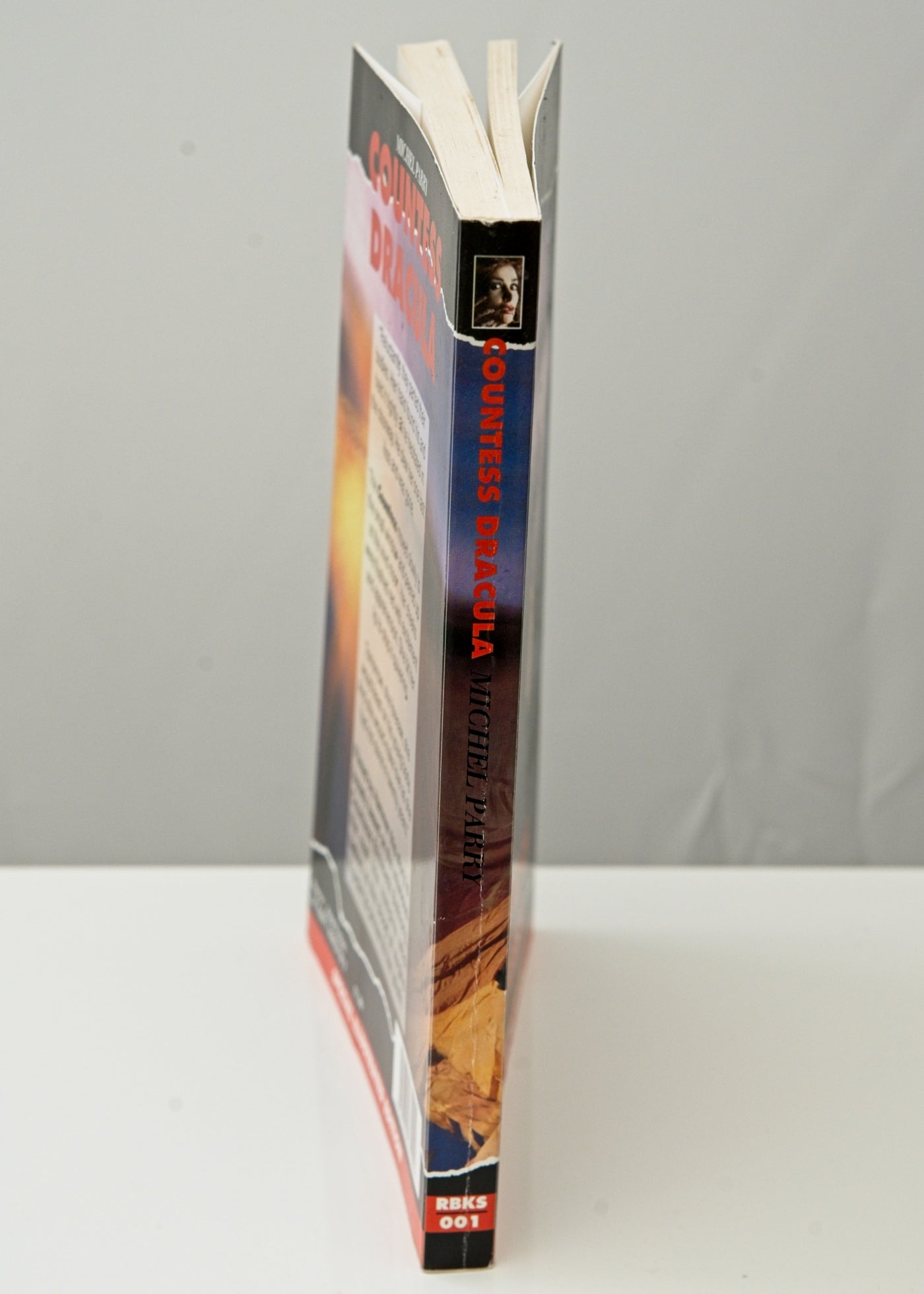 Countess Dracula by Michael Parry • Illustrated Edition • Redemption Paperback 1995